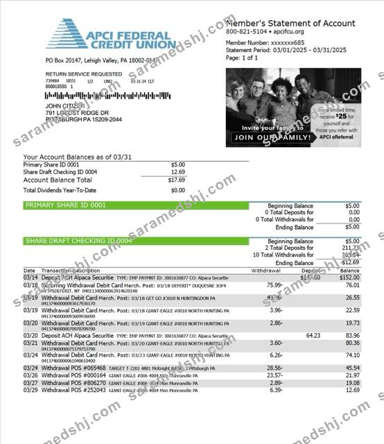 USA APCI Federal Credit Union statement of account Word and PDF template